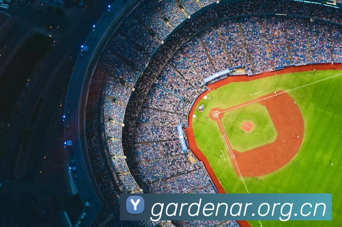 米兰app官网入口平台生态图